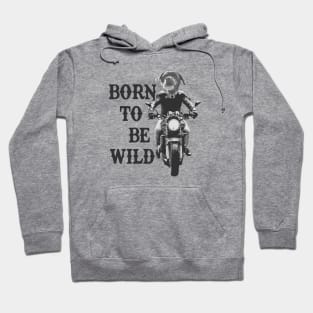 Born to Be Wild Biker Dog Hoodie